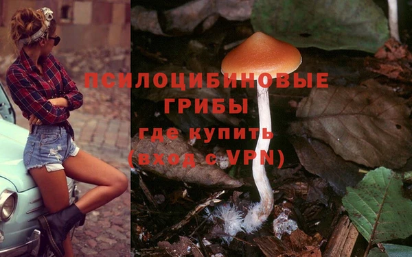 бутират Горняк