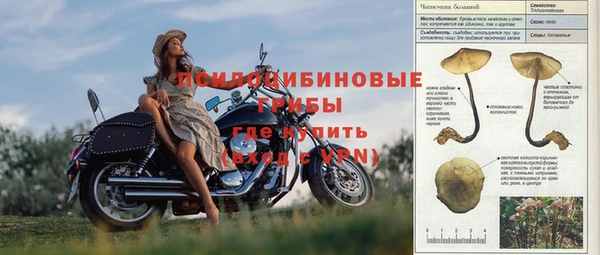 спайс Горно-Алтайск